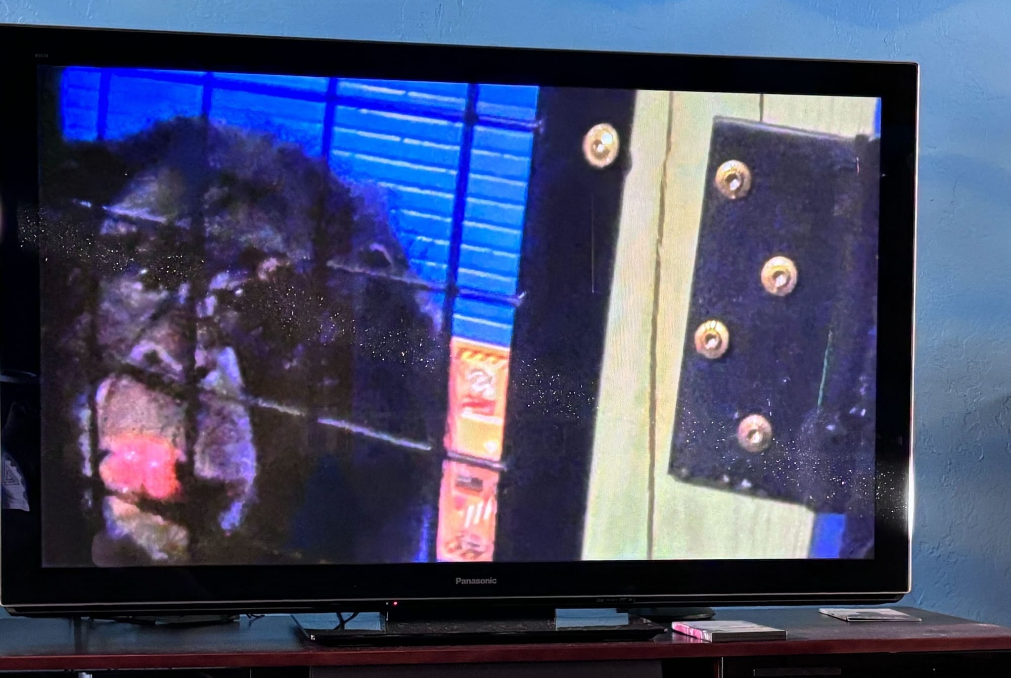 A screenshot of the documentary Chimp Crazy showing a chimpanzee in a cage in a basement.